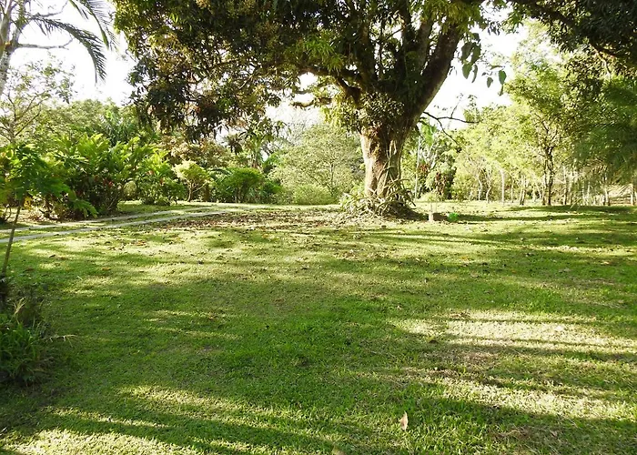 Apartamento Tucanes