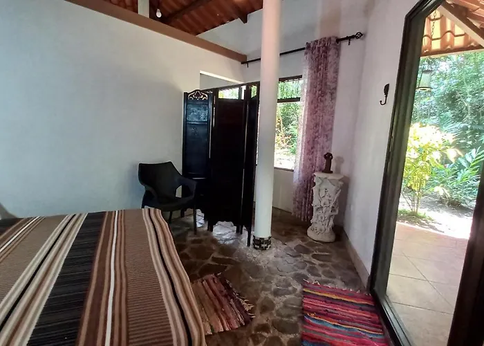 Tucanes Tilarán