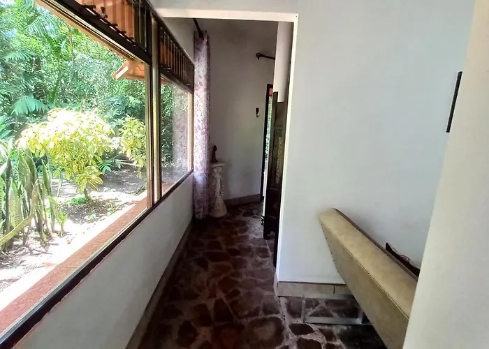 Tucanes Tilarán
