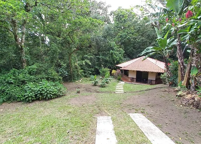 Tucanes Tilarán