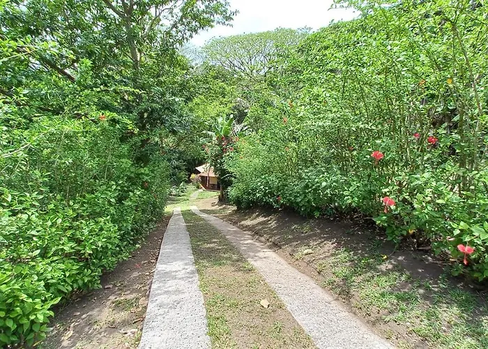Tucanes Tilarán